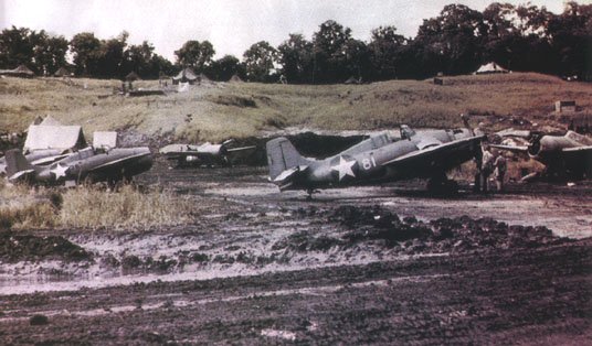 color_photo_of_FighterOne_airstrip.JPG (52755 bytes)