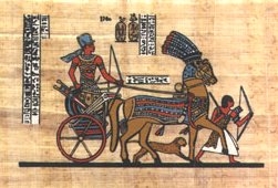 papyrus7.jpg (17106 bytes)