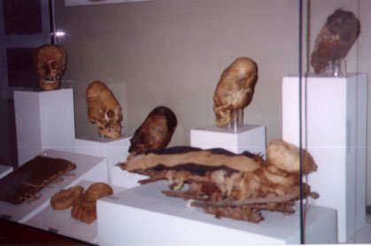 03Ica_museum_skulls.JPG (18654 bytes)