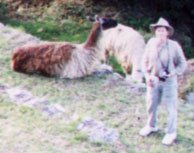 07MP_Dave_and_llamas_closeup.JPG (9454 bytes)