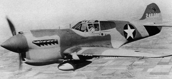 P-40K picture