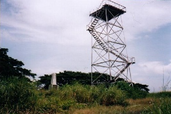 tower99.jpg (38003 bytes)